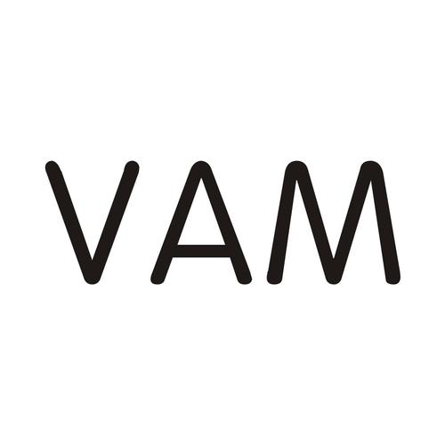 vam模拟器正版