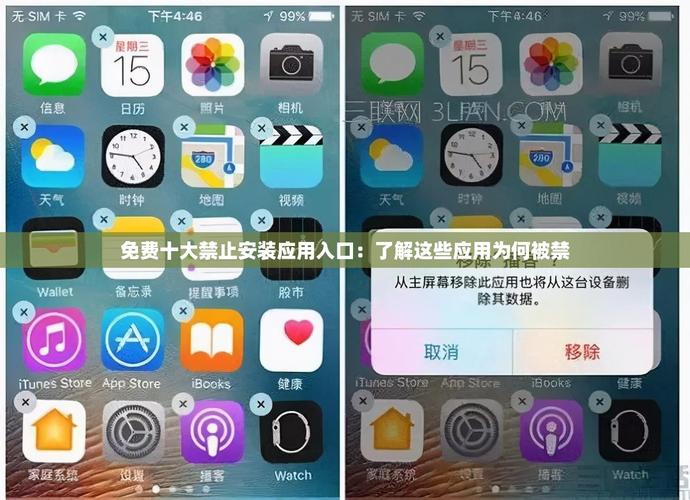 免费十大禁止安装应用入口