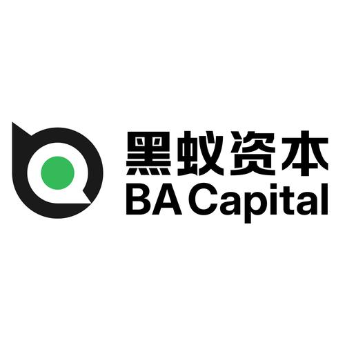 黑蚁脚本官网游戏截图