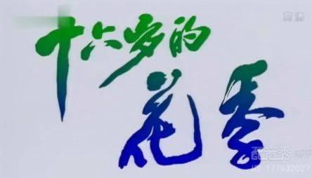 16岁的花季清晰版花季缩略图