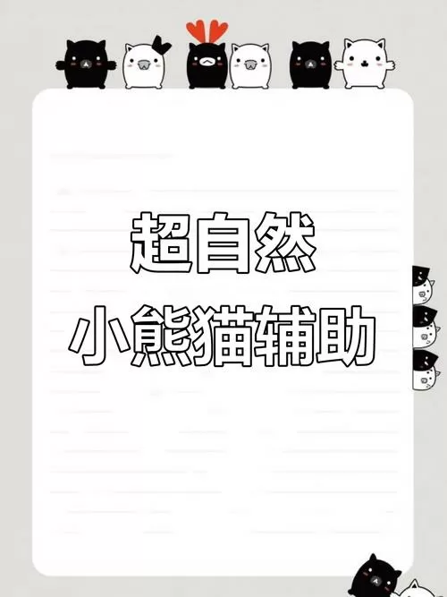 小熊猫辅助器65.1