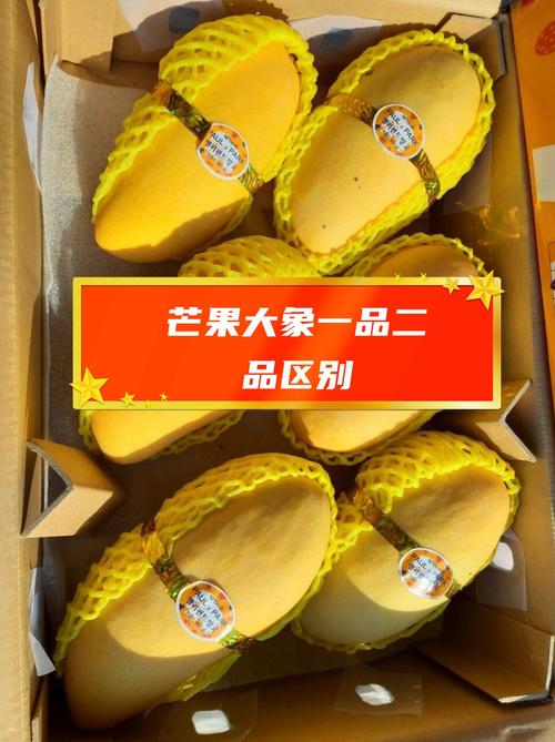 芒果大象一二三四2022最新版图标